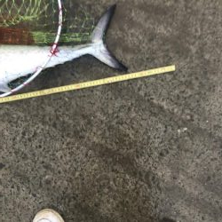 雨上が止んだのでお昼の暇潰しに!