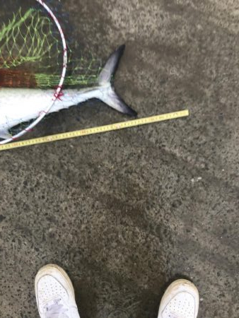 雨上が止んだのでお昼の暇潰しに!