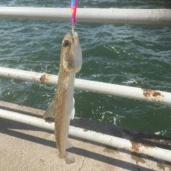 空いてる時間に