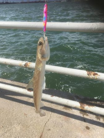 空いてる時間に