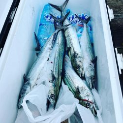 筏でショアジギング