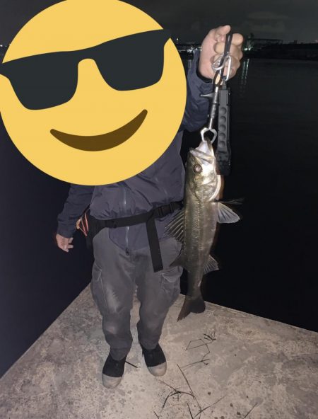 久しぶりのシーバス！！