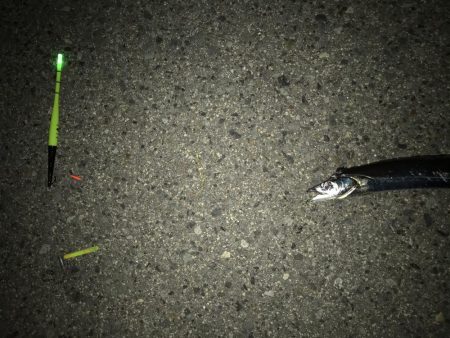 リベンジとは。