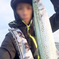 サワラって何cmから?笑