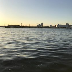 10月16日太刀魚ハマチ