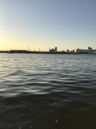 10月16日太刀魚ハマチ
