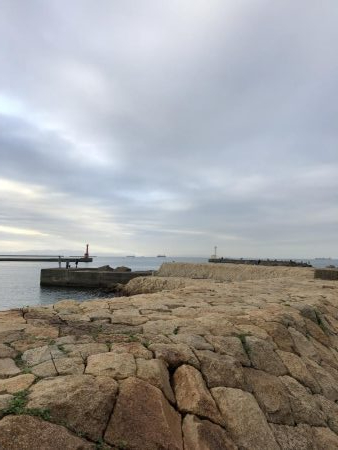 今日もマイワシパターン