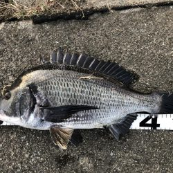 イチノ兄弟、釣果!