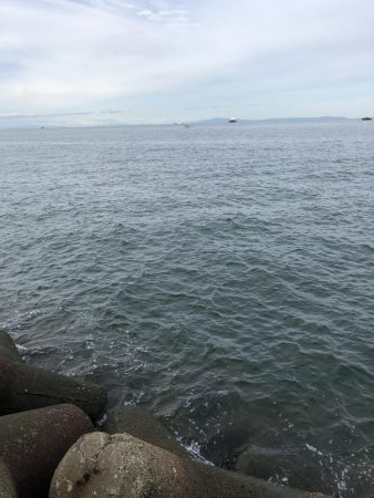 ショアジギング 渋ーい