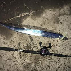 ガツン！が楽しい