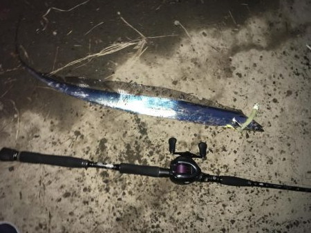 ガツン！が楽しい