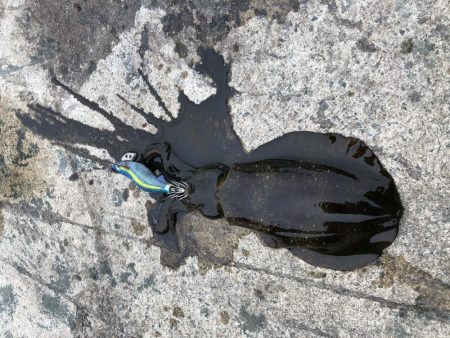 今日はデイでやっと