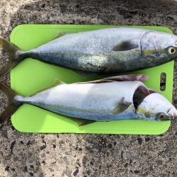 ショアジギング