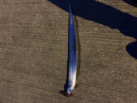 タチウオワインド