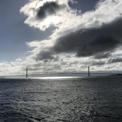 カワハギの季節