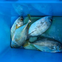 親子ライトゲーム