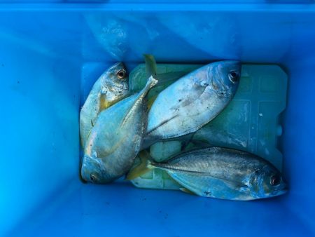 親子ライトゲーム