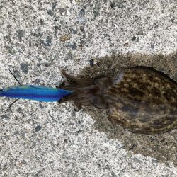 島根県のはずが…