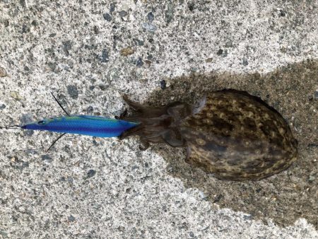 島根県のはずが…