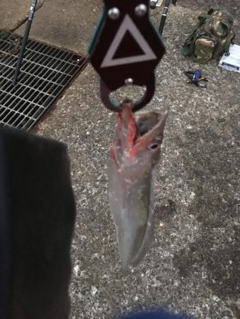 朝間のわずか1時間だけ