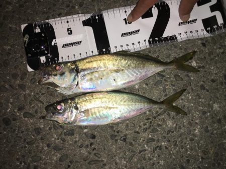 君のキャストもうシモリを超えないよ…これが…