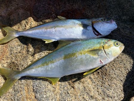 ショアプラッキング