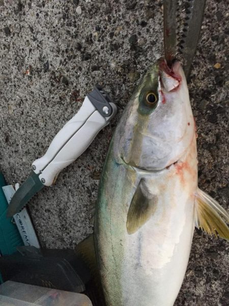 小潮の方が、、