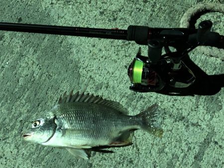 暇つぶしアジング