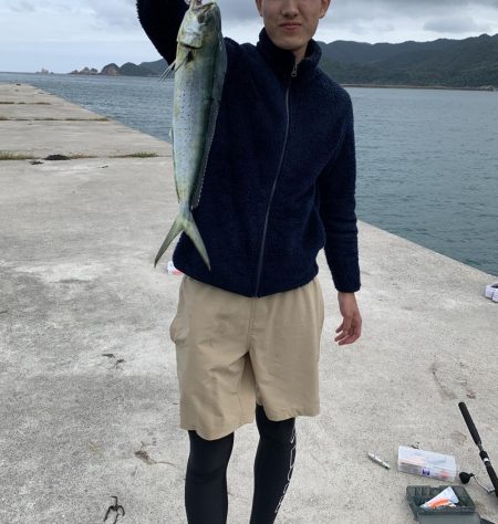 マズメじゃないのにナブラが数分置きに、、、…