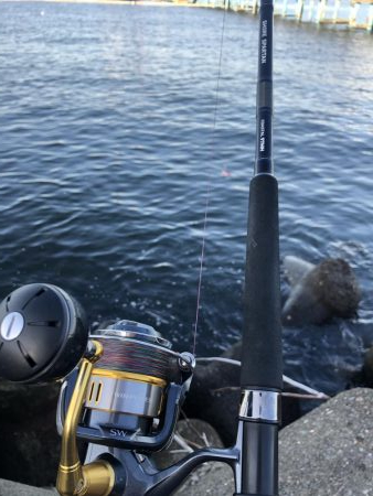 太刀魚と青物渋め