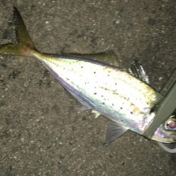 爆風に心折れました