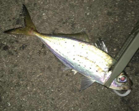 爆風に心折れました