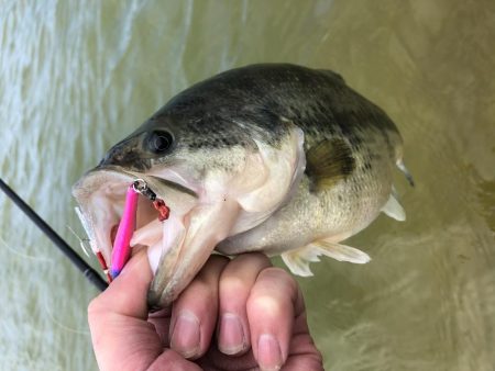 台風後のドリームレイク（管理釣り場）釣行