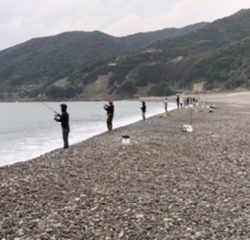 ななおの釣部日記