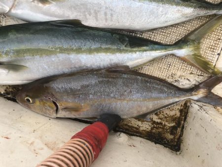 あたりは多いが