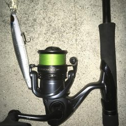 夕まづめ短時間釣行