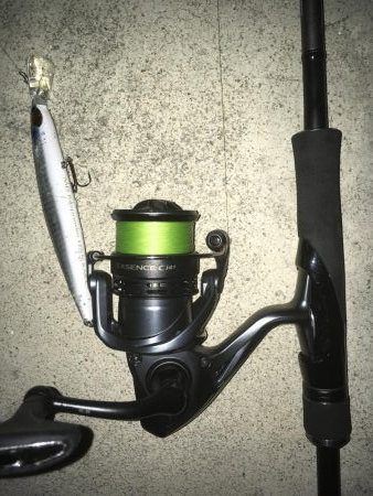 夕まづめ短時間釣行