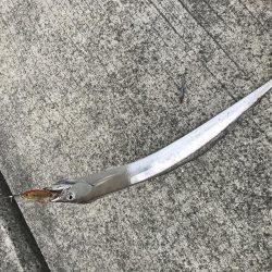 人工島で夕まずめ