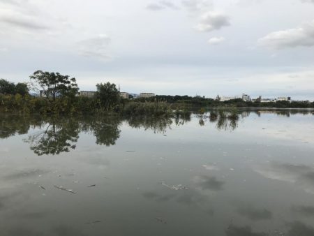 城北ワンド　調査釣行