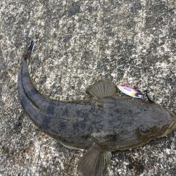 台風18号接近中、、