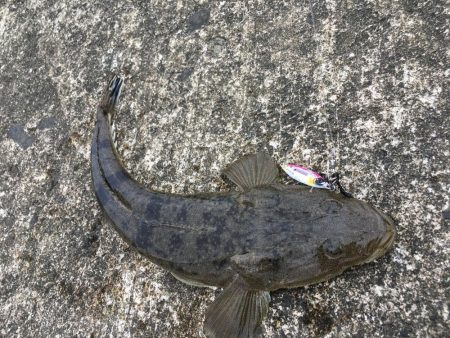 台風18号接近中、、
