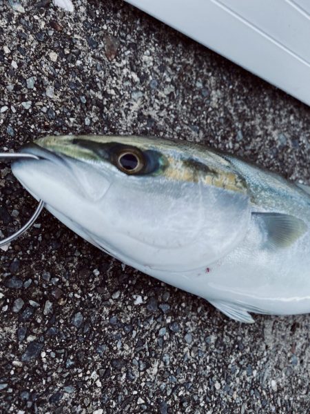 雨降らずガラガラ