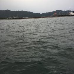 簡単フカセでばっこりグレ釣れました!