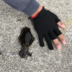 意表を突かれた！