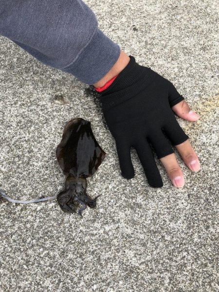 意表を突かれた！