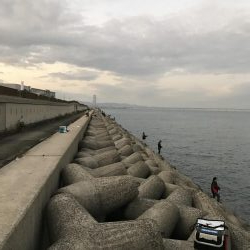 やっとハマチゲット