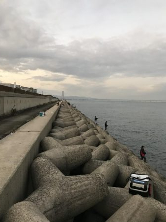 やっとハマチゲット