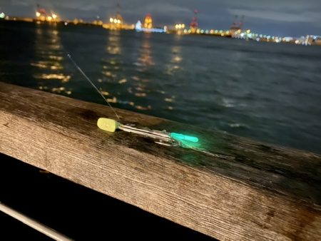 シーサイドコスモで夕練