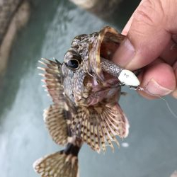 メッキはどこへ？