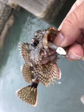 メッキはどこへ？